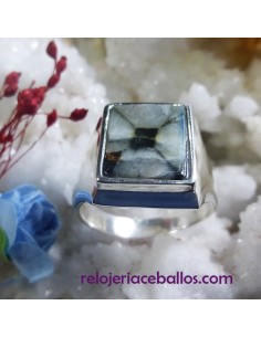 Sello de Plata y Quiastolita