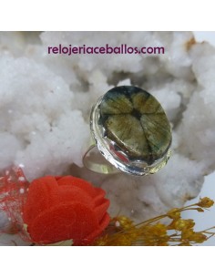 Sortija de plata con ondas y Quiastolita ONS