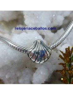 Concha abalorio para pulsera