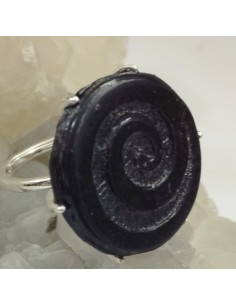 Espiral de la Vida de carbón  AU8