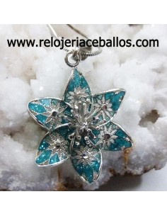 Colgante de plata con esmalte PHM1