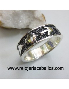 Anillo del Camino de Santiago 141-10 2