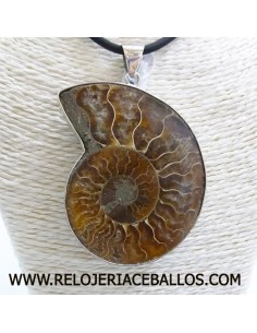 Ammonite  colgante de plata AMM3