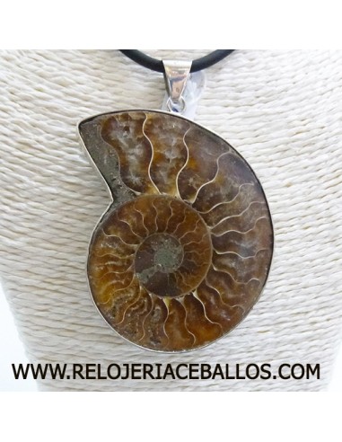 Ammonite  colgante de plata AMM3