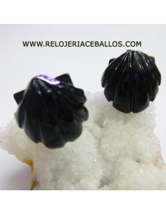 Concha de Azabache...