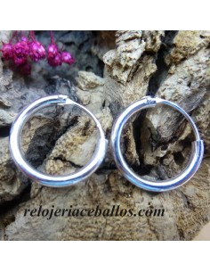 Arete de Plata 350-0038