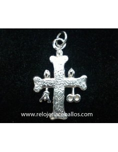 Cruz de Asturias C845